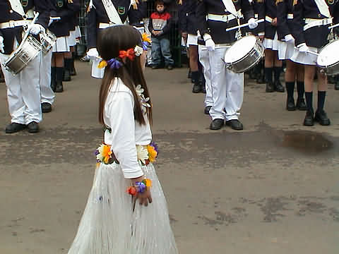 Click en la im&aacute;gen para ir al Indice de la secci&oacute;n