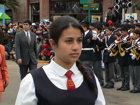 Click en la im&aacute;gen para ir al Indice de la secci&oacute;n