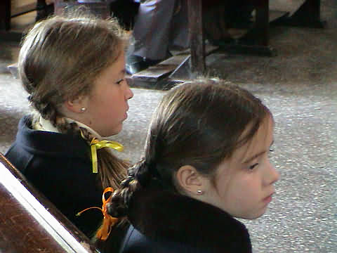 Click en la im&aacute;gen para ir al Indice de la secci&oacute;n