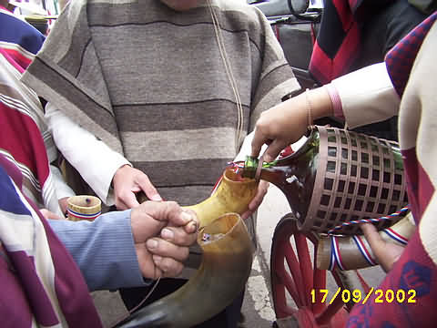 Click en la im&aacute;gen para ir al Indice de la secci&oacute;n