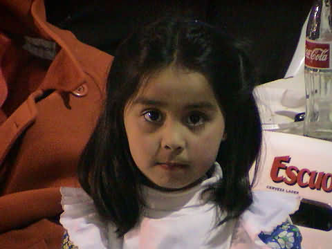 Click en la im&aacute;gen para ir al Indice de la secci&oacute;n