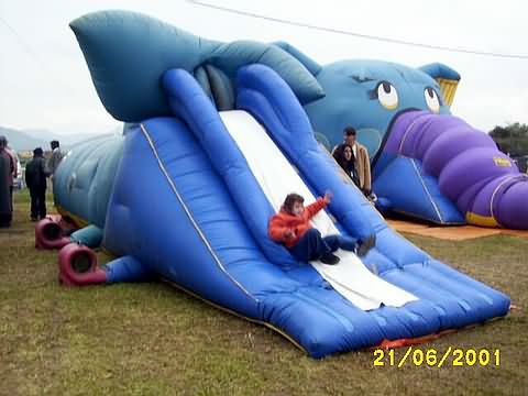 Click en la im&aacute;gen para ir al Indice de la secci&oacute;n