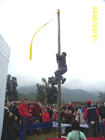 Click en la im&aacute;gen para ir al Indice de la secci&oacute;n