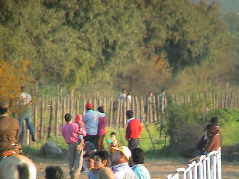 Click en la im&aacute;gen para ir al Indice de la secci&oacute;n