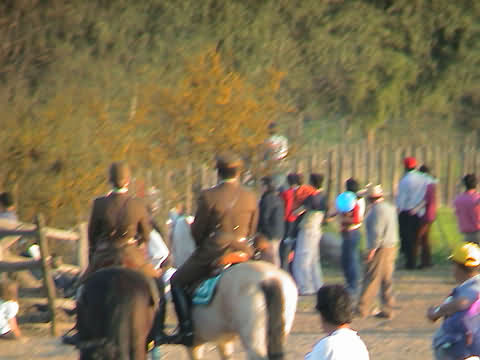 Click en la im&aacute;gen para ir al Indice de la secci&oacute;n