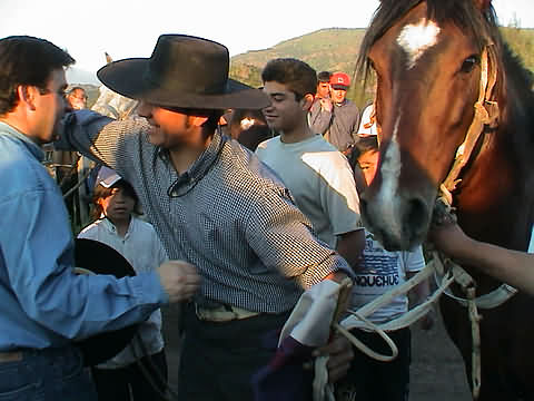 Click en la im&aacute;gen para ir al Indice de la secci&oacute;n