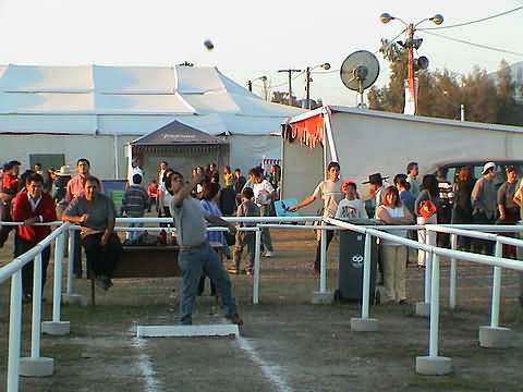 Click en la im&aacute;gen para ir al Indice de la secci&oacute;n