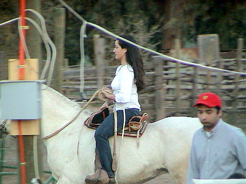 Click en la im&aacute;gen para ir al Indice de la secci&oacute;n