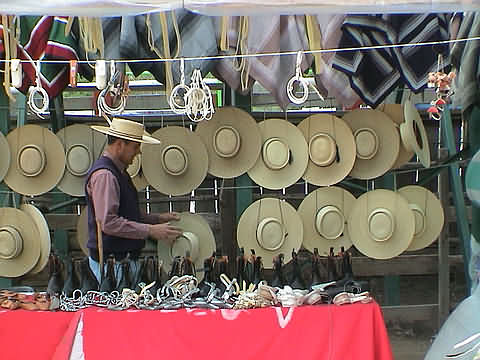 Click en la im&aacute;gen para ir al Indice de la secci&oacute;n