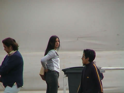 Click en la im&aacute;gen para ir al Indice de la secci&oacute;n