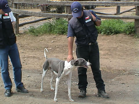 Click en la im&aacute;gen para ir al Indice de la secci&oacute;n