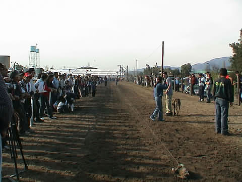 Click en la im&aacute;gen para ir al Indice de la secci&oacute;n