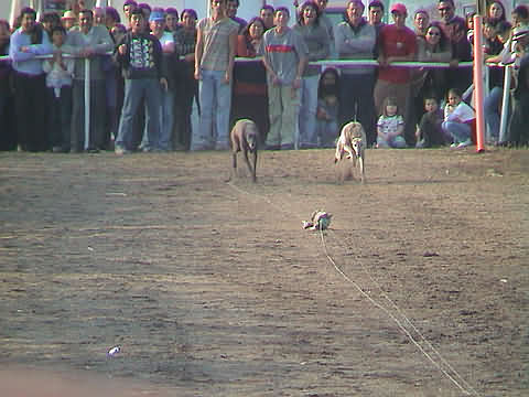 Click en la im&aacute;gen para ir al Indice de la secci&oacute;n