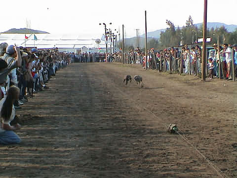 Click en la im&aacute;gen para ir al Indice de la secci&oacute;n