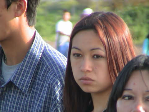 Click en la im&aacute;gen para ir al Indice de la secci&oacute;n