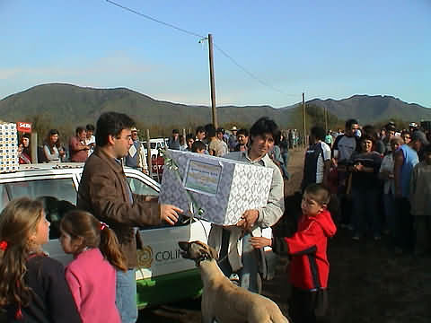 Click en la im&aacute;gen para ir al Indice de la secci&oacute;n