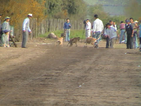 Click en la im&aacute;gen para ir al Indice de la secci&oacute;n