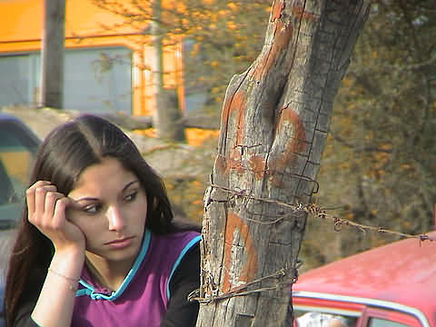 Click en la im&aacute;gen para ir al Indice de la secci&oacute;n