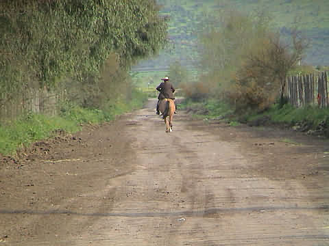 Click en la im&aacute;gen para ir al Indice de la secci&oacute;n