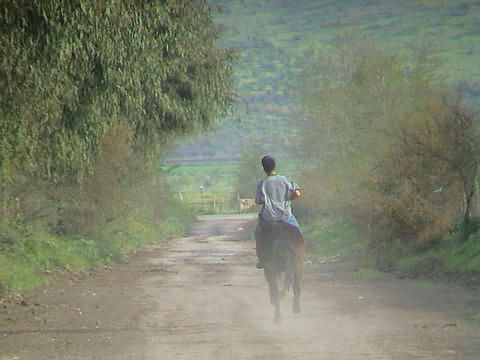 Click en la im&aacute;gen para ir al Indice de la secci&oacute;n