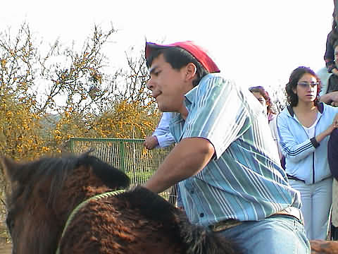 Click en la im&aacute;gen para ir al Indice de la secci&oacute;n