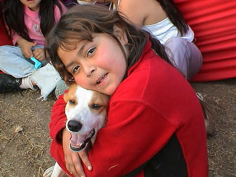 Click en la im&aacute;gen para ir al Indice de la secci&oacute;n