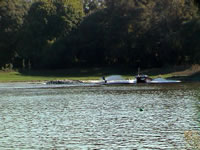 Diego Gonz�lez (45kb)