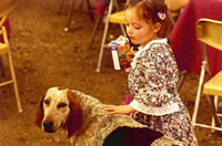 La hija menor del Alcalde dando la bienvenida a un perrito bastante quiltro y vagoneta. (33,151 bytes)