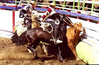 Una ataj� de dos puntos. (37,407 bytes)