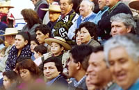 N�tese el futuro huaso. (30,248 bytes)