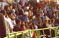 Un talim�n cerca de Edgardo Cruz e hijos. (37,289 bytes)