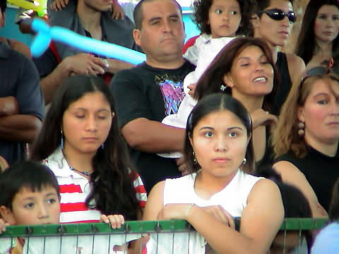 Click en la im&aacute;gen para ir al Indice de la secci&oacute;n