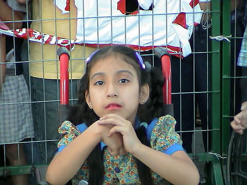 Click en la im&aacute;gen para ir al Indice de la secci&oacute;n