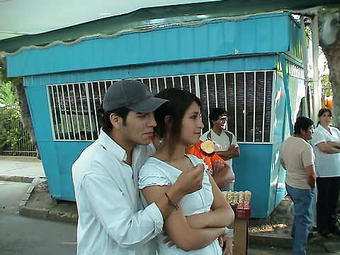 Click en la im&aacute;gen para ir al Indice de la secci&oacute;n