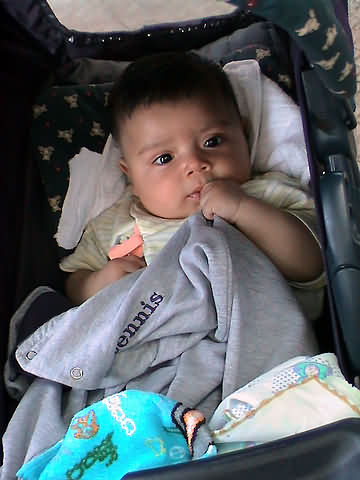 Click en la im&aacute;gen para ir al Indice de la secci&oacute;n