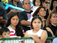 teleton_13.jpg (33kb)