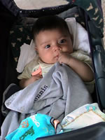 teleton_41.jpg (28kb)