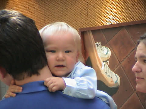 Click en la im&aacute;gen para ir al Indice de la secci&oacute;n