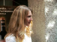 Vista general de la inauguraci�n. (43kb)