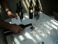 Vi�a Casas Patronales, auspiciador de la muestra (31kb)