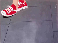 Zapatillas Danesas (33kb)