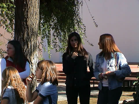 Click en la im&aacute;gen para ir al Indice de la secci&oacute;n