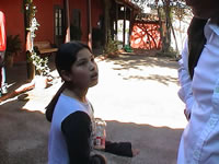 15_miradas_chicureo.JPG (35kb)