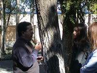 20_miradas_chicureo.JPG (45kb)