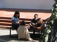 22_miradas_chicureo.JPG (32kb)