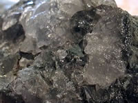 Materia prima (40,348 bytes)