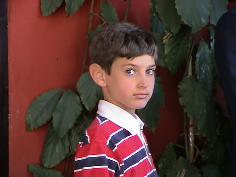 Click en la im&aacute;gen para ir al Indice de la secci&oacute;n