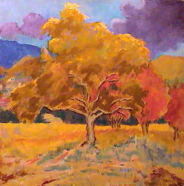 Click en la im&aacute;gen para ir al Indice de la secci&oacute;n