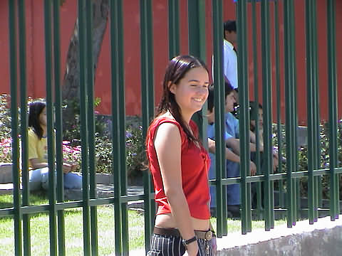 Click en la im&aacute;gen para ir al Indice de la secci&oacute;n