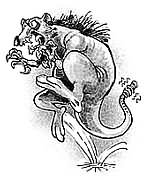 Foto: Alejandro Soto